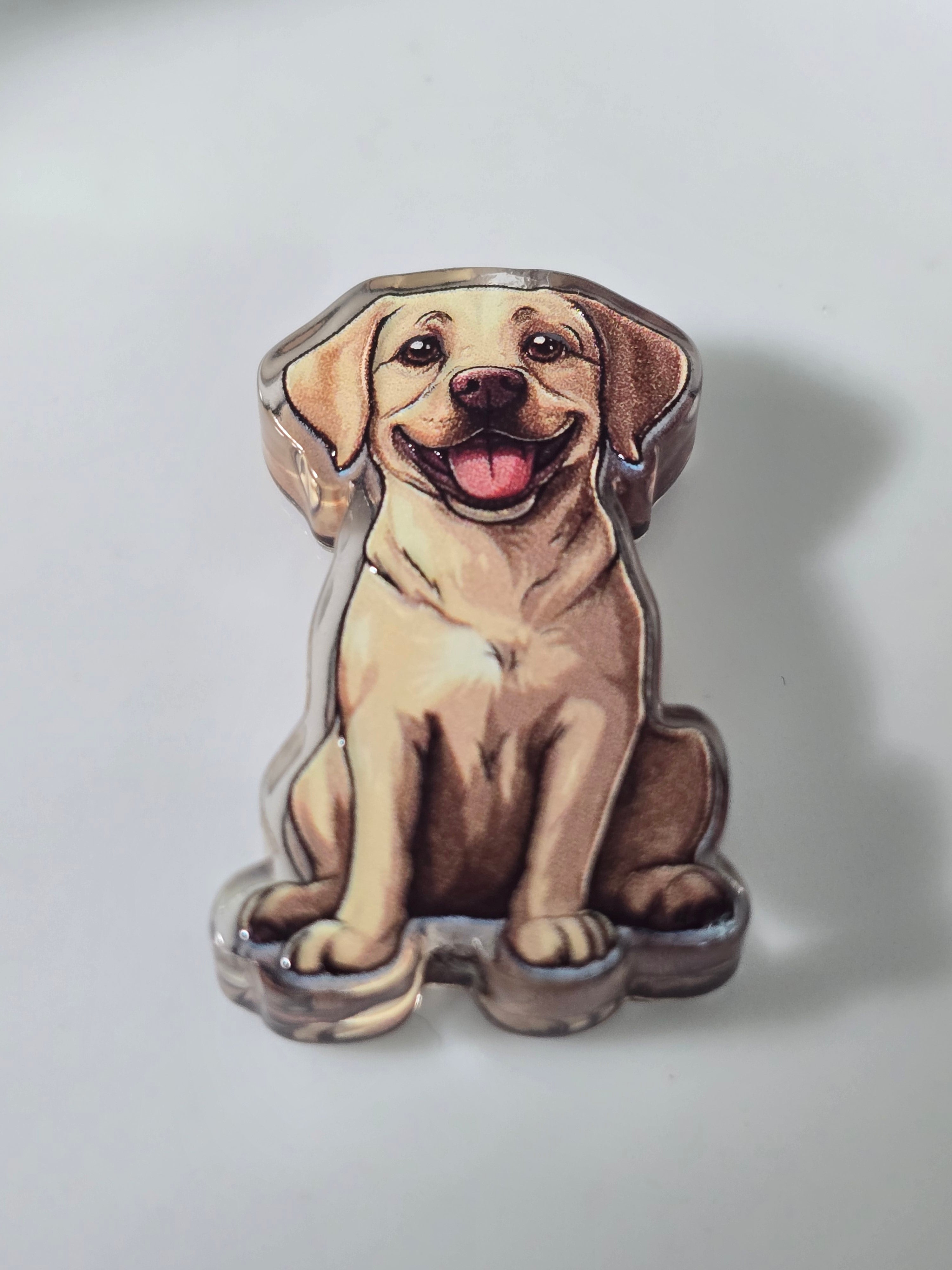 Acrylic labrador bead