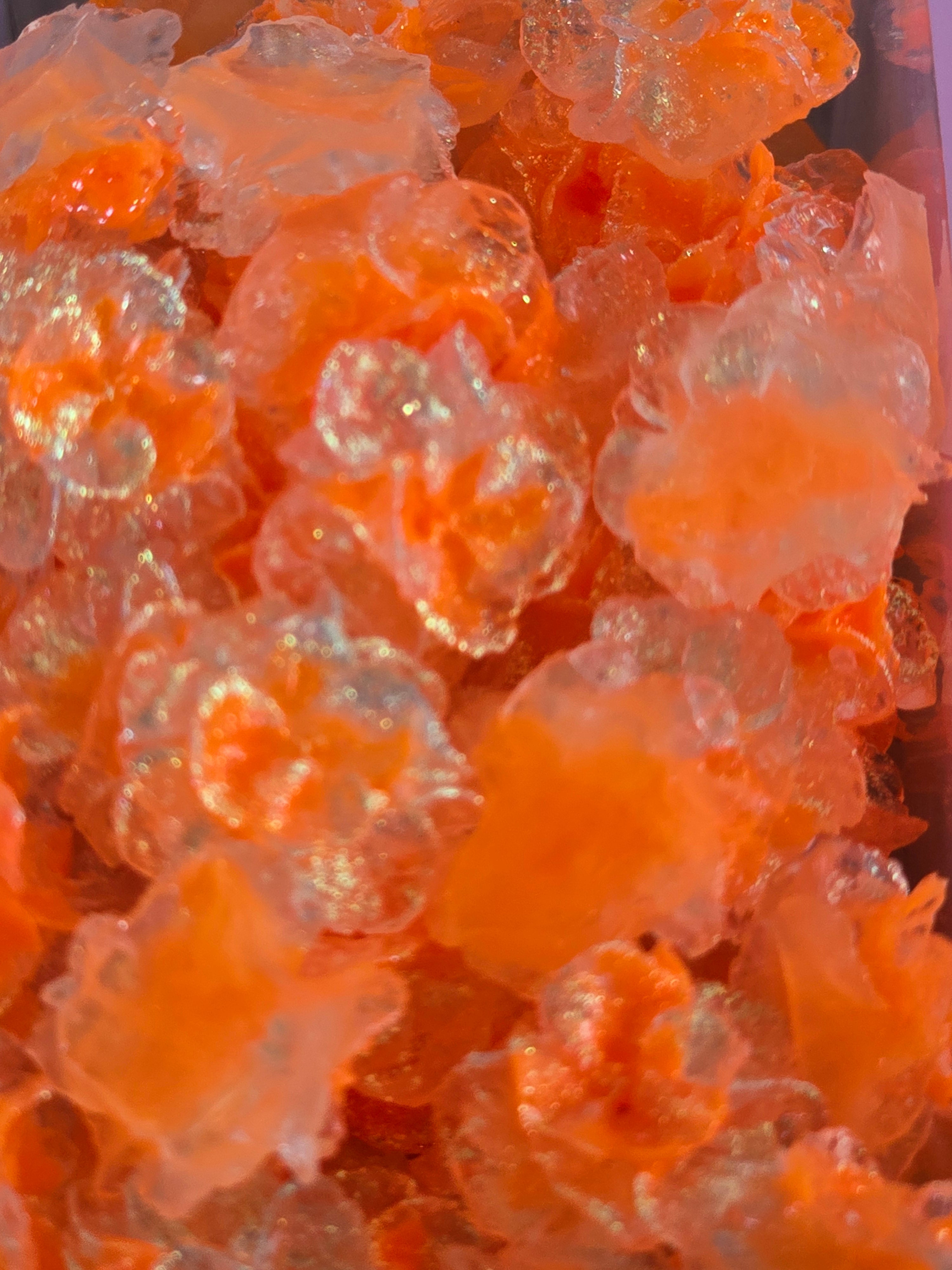 A close-up of translucent orange and clear soft illuminous flowers